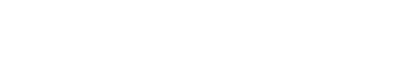 BrandsTravel Ski